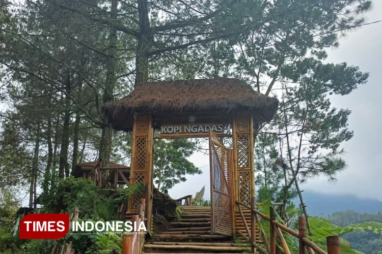 Finding Peace in the Clouds at Kopi Ngadas Malang